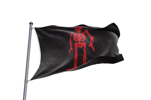 Drapeau Edward Low - Image 2