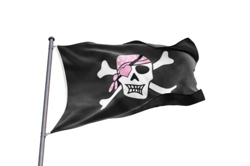 Drapeau Pirate Fille Terreur Des Caraïbes - Image 2
