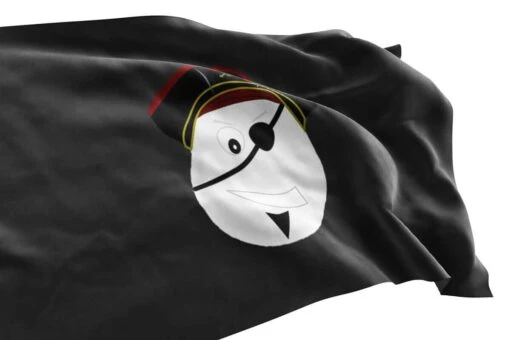 Acheter Drapeau Pirate Enfant - Image 3