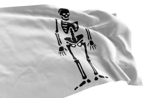 Drapeau Pirate Noir Et Blanc De La Buse - Image 3