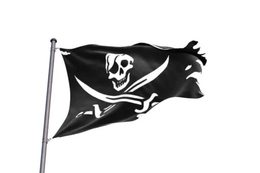 Drapeau Pirate Déchiré Par Les Combats - Image 2