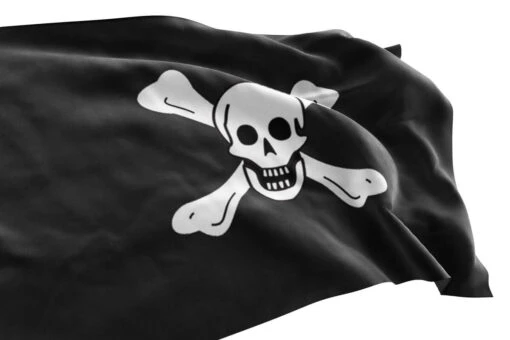 Drapeau Pirate Des Mers De Richard Worley - Image 3