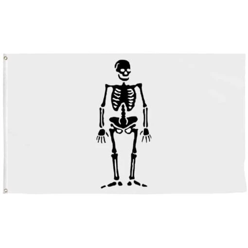 Drapeau Pirate Noir Et Blanc De La Buse