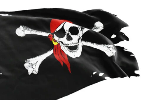 Drapeau Pirate Usé Par Les Batailles - Image 3