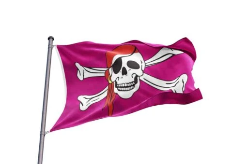 Acheter Drapeau Pirate Rose - Image 2