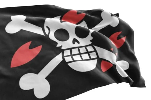 Drapeau Chopper (One Piece) - Image 3