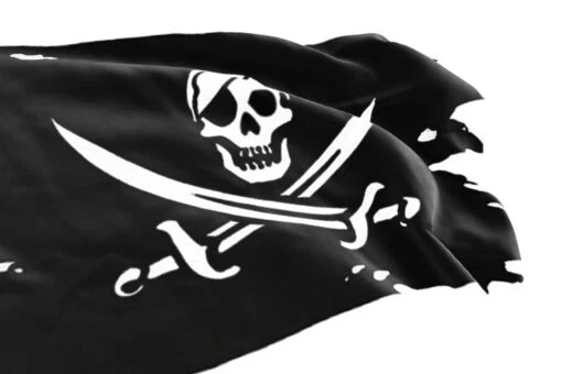 Drapeau Pirate Déchiré Par Les Combats - Image 3