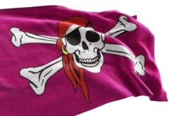 Acheter Drapeau Pirate Rose -Pirate Costume Shop pavillon pirate rose