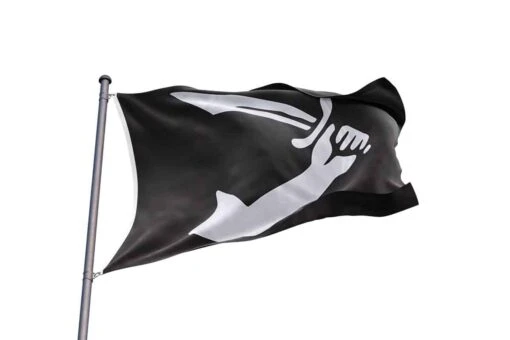 Drapeau Pirate Connu De Thomas Tew - Image 2